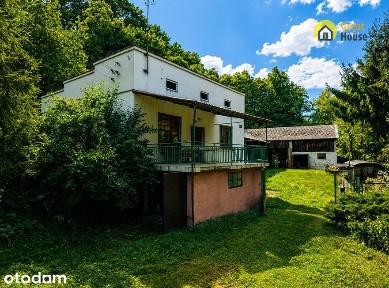 Siedlisko z własnym lasem i rzeką - 2,54 ha. Blisko ruin Młyna