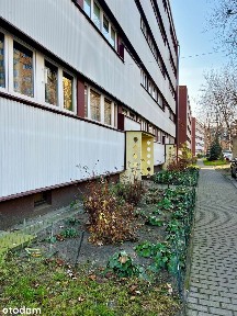 Zbiorcza, Stary Widzew, Widzew, Łódź, łódzkie