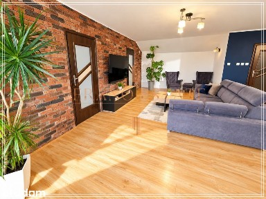 Dom i biznes w jednym | ok. 450 m²