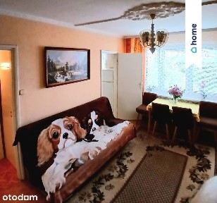 Atrakcyjne mieszkanie na Mokrym - zadbany blok