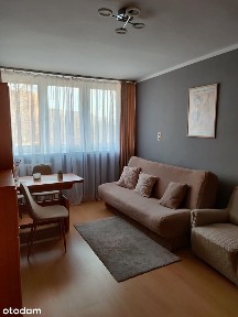 Kalina na wynajem 2 pokoje/2 bedroom for lease