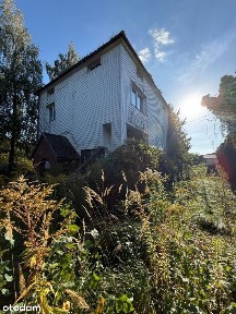 Sprzedam dom w Rypinie,ul.Spokojna 51,duża działka