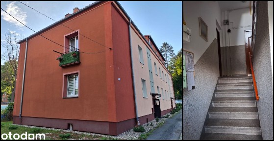 Słoneczne 2 pokoje z ogródkiem - Śródmieście - BEZ PROWIZJI