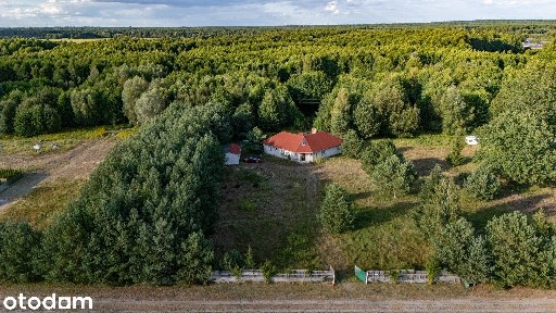 Dom z wyspą pod Toruniem - Obory