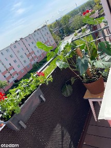 Przytulne mieszkanie na wynajem Gdańsk Brzeźno - idealne dla pary.