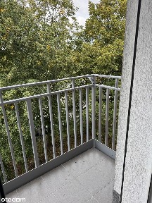 Zieleń za oknem | 3 pokoje z balkonem na Winogradach | 0% prowizji