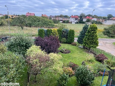 Skrajny segment z ogrodem 426 m², garażem i potencjałem - Łomża