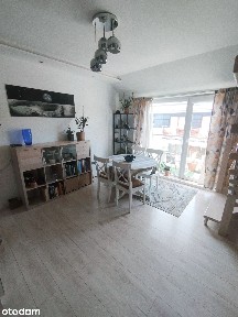 Czteropokojowe z tarasem i balkonem