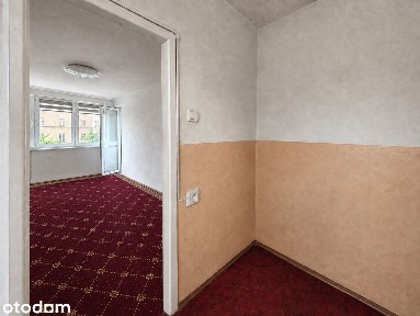 Małe mieszkanie ul. Wyszyńskiego - centrum miasta Wrocław