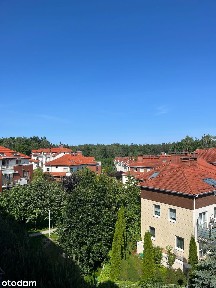 ul. Czesława Niemena, Chwarzno-Wiczlino, Gdynia, pomorskie