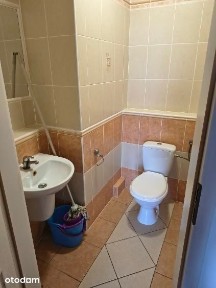 Bezpośrednio 3 pokoje, siłownia, recepcja, ochrona