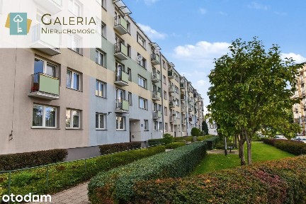 Mieszkanie, 50,50 m², Elbląg