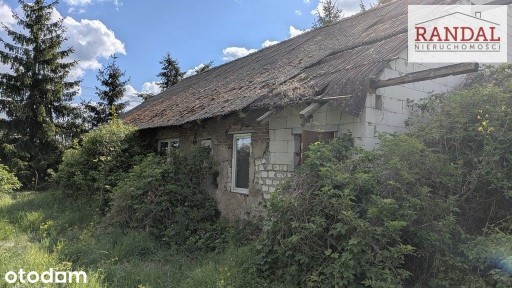Orzeszkowo, Dominowo, średzki, wielkopolskie