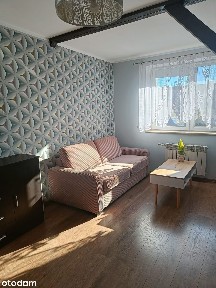 ul. Juliana Ursyna Niemcewicza, Niebuszewo-Bolinko, Śródmieście, Szczecin, zachodniopomorskie