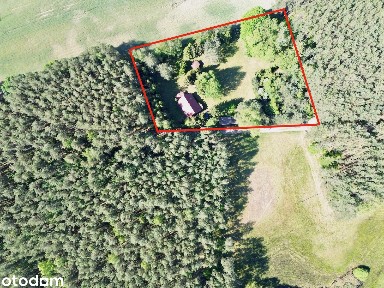 Siedlisko Osiek k. Skórcza woj. pomorskie 4900m kw z domem 126m kw
