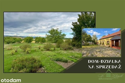Dom 200m2 Braciszów Działka 4223m2