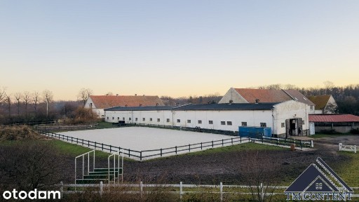 Skarżyce, Strzegom, świdnicki, dolnośląskie