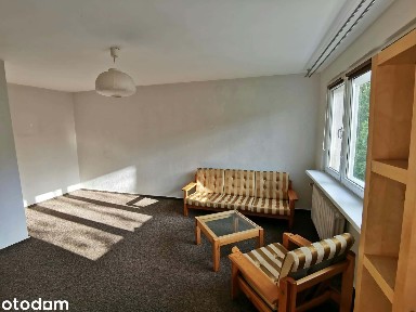 Pogodno, Grunwald, Poznań, wielkopolskie