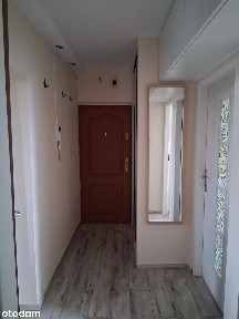 Jasne dwupokojowe mieszkanie w świetnej lokalizacji (Grunwald)