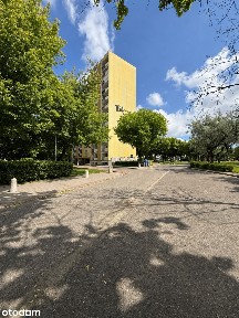Pracujący gotowiec inwestycyjny/ROI 10%/6 pokoi/Poznań Os.Kopernika