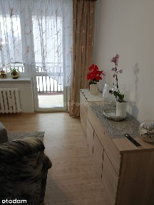 Szkolna, Złotów, złotowski, wielkopolskie