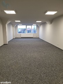 ul. Kopanina, Kopanina, Grunwald, Poznań, wielkopolskie