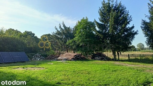 Bieniów, Żary, żarski, lubuskie
