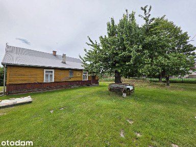 Ładne Siedlisko 2866m2 z domem 124m2 - Kijowiec