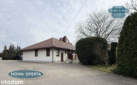 Lokal do wynajęcia