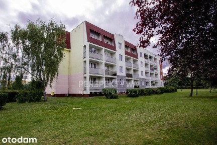 Centrum, Zielona Góra, lubuskie