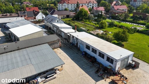 Grodków, brzeski, opolskie