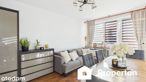 Skierniewice 3 pokoje 48,17m2 ul. Mszczonowska