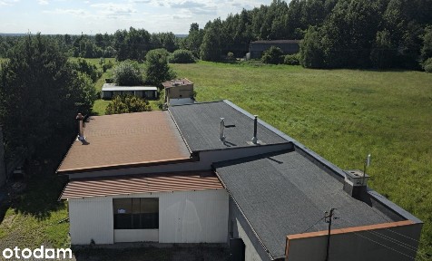Dom 172 m² + hala 300 m², działka 5 100 m² ze stawem, Dźbów