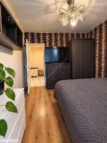 54,9 m2 3 duże pokoje + loggia super komunikacja