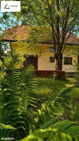 Warszawska, Skarżysko-Kamienna, skarżyski, świętokrzyskie