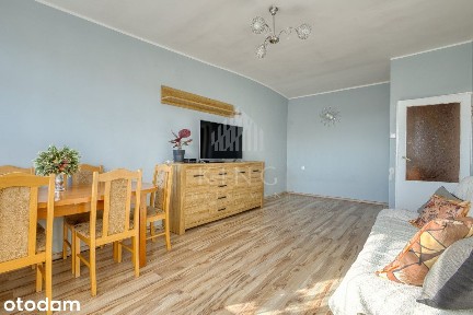Szpaki, Stogi, Gdańsk, pomorskie