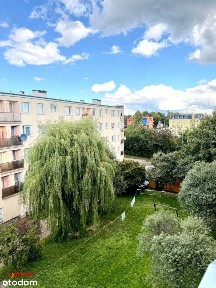 3 Maja 21, Kwidzyn, kwidzyński, pomorskie