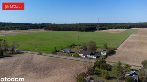 Siedlisko we wsi Lipianki 42
