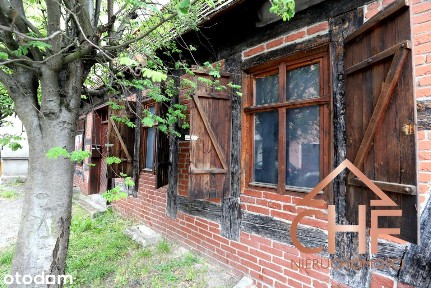 Szkolna, Sulechów, zielonogórski, lubuskie