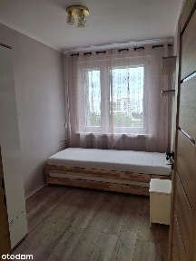 ul. Jagiellońska, Centrum / Śródmieście, Sosnowiec, śląskie