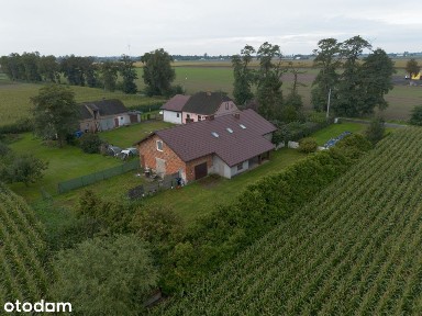 Dom 360 m² na działce 4435 m² Wola Koszucka-Parcele