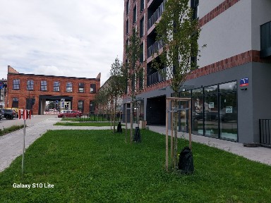 Lokal handlowo - usługowy 50 m2 Ogrody Geyera