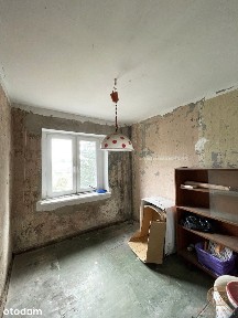 Papowo Biskupie, chełmiński, kujawsko-pomorskie