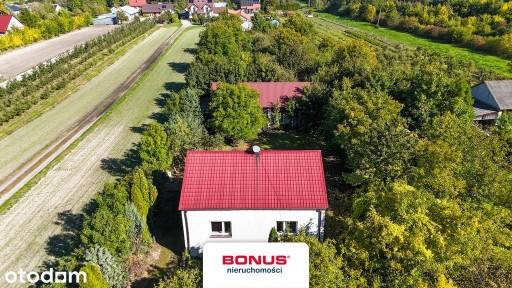 Opole Lubelskie, opolski, lubelskie