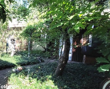Wilków Polski, Leoncin, nowodworski, mazowieckie