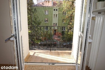 Minikawalerka na Bronowicach!