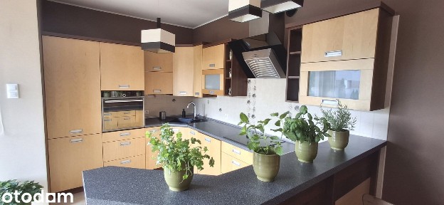 Słoneczne 3 pokoje | 63 m² | 1 piętro | balkon | piwnica 8 m²