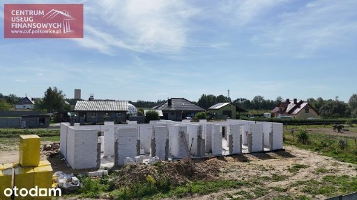 Tadeusza Babisza, Polkowice, polkowicki, dolnośląskie