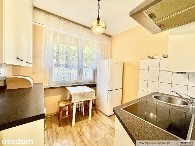 Mieszkanie na wynajem, 48 m2, Pana Tadeusza, Dębica