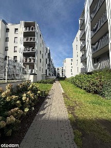 Do wynajęcia mieszkanie 3 pokojowe Jeżyce ul. Kościelna 19